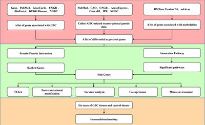 Mining of RNA Methylation-Related Genes and Elucidation of Their Molecular Biology in Gallbladder Carcinoma